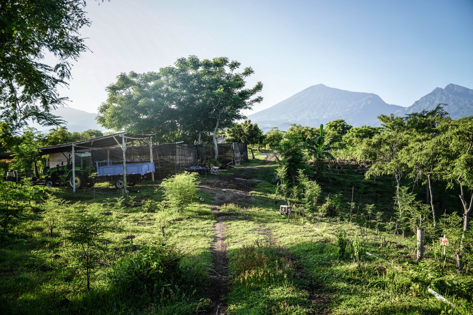 The Primitiva farm at the foot of Rinjani — Sambik Elen, North Lombok
