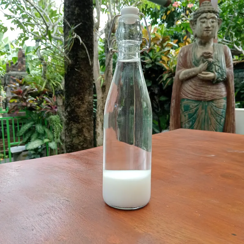 500 ml SELOR ORMUS water in a Balinese garden